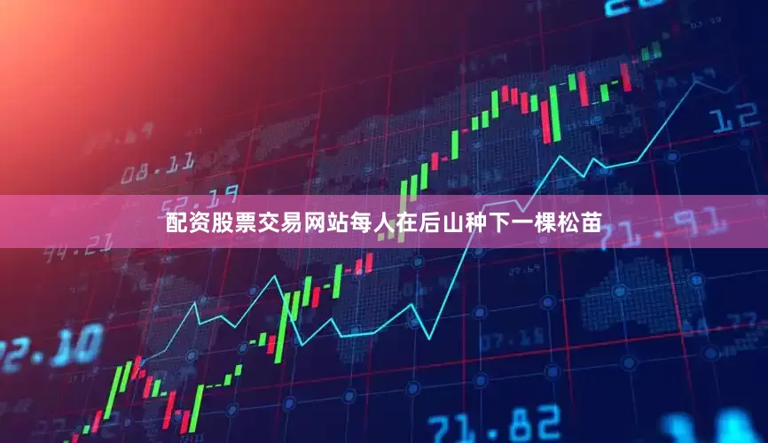 配资股票交易网站每人在后山种下一棵松苗