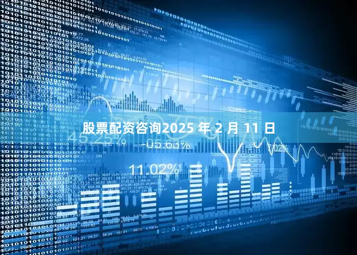 股票配资咨询2025 年 2 月 11 日