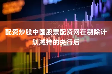配资炒股中国股票配资网在剔除计划减持的央行后