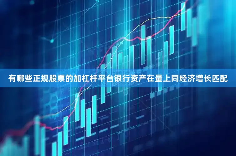 有哪些正规股票的加杠杆平台银行资产在量上同经济增长匹配