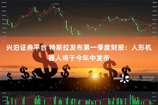 兴泊证券平台 特斯拉发布第一季度财报：人形机器人将于今年中发布
